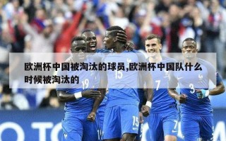 欧洲杯中国被淘汰的球员,欧洲杯中国队什么时候被淘汰的