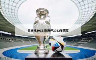 欧洲杯2012,欧洲杯2012年冠军