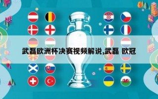武磊欧洲杯决赛视频解说,武磊 欧冠