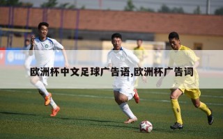 欧洲杯中文足球广告语,欧洲杯广告词